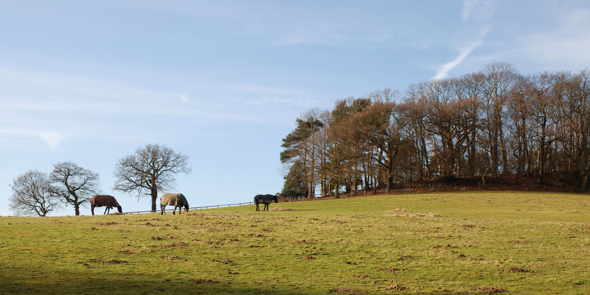 View from footpath, from Ambarrow to Finchampstead Ridges (2009)